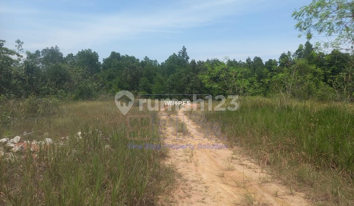 Jual Lahan Industri Teluk Senang Tanjung Balai Karimun Jual Lahan Industri Teluk Senang Tanjung Balai Karimun