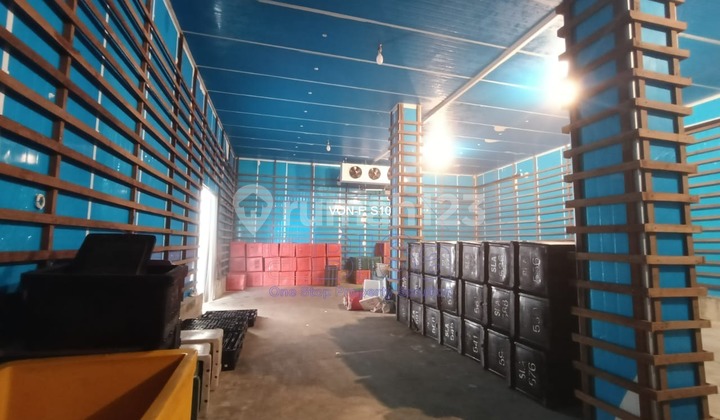 Ready-to-Use Cold Storage Warehouse Rental in Batam Business Center, Punggur