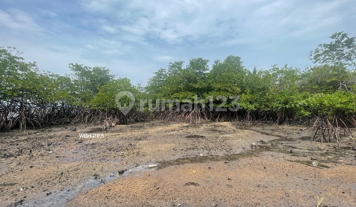 For Sale Barelang Bridge 1 Resort Island in Batam For Sale Barelang Bridge 1 Resort Island in Batam