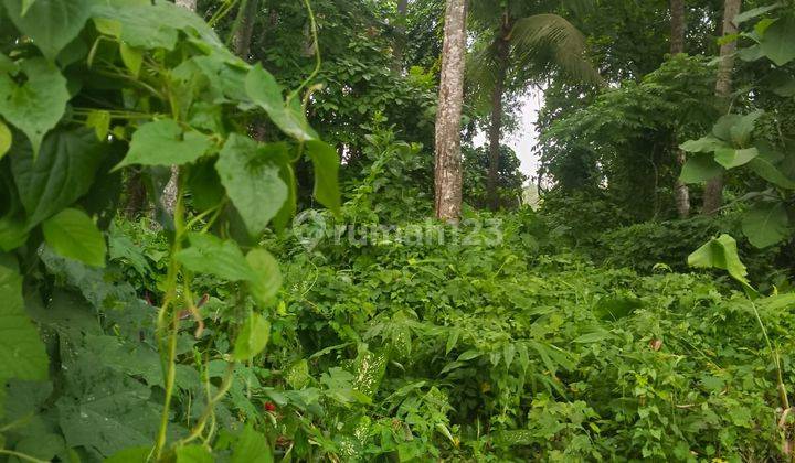 Dijual Lahan untuk membangun Villa atau penginapan 1