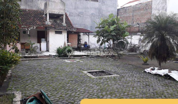 Tanah Strategis  Poros Bunga Cengkeh Soekarno Hatta Malang  2