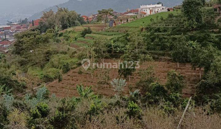 Tanah Murah Poros Tajinan Cocok Untuk Perumahan Subsidi  2