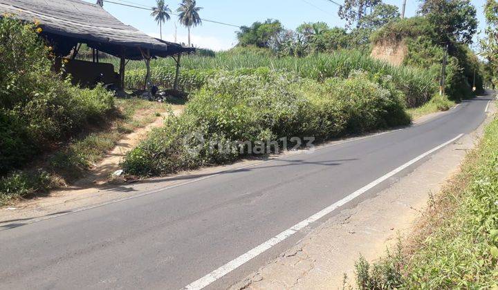 Tanah Murah Poros Tajinan Cocok Untuk Perumahan Subsidi  1