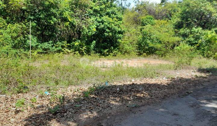 Dijual Tanah Tepi Pantai Karimunjawa, Dekat Bandara  2