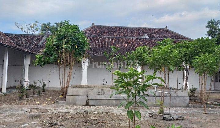 Rumah Dan Sarang Burung Walet Lt 1.850 M2 Lasem Rembang Jawa Tengah 2