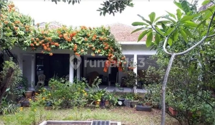 Fast Sale Cheap House Premium Location in Kemang South Jakarta 2