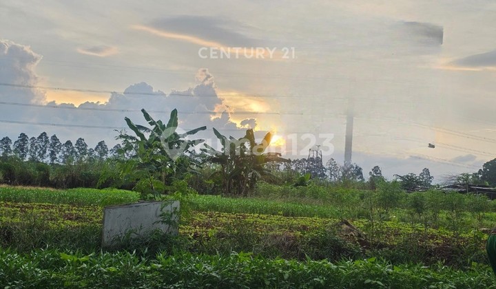 Dijual Lahan Komersial Luas 1000m Di Harapan Indah Bekasi Dijual Lahan Komersial Luas 1000m Di Harapan Indah Bekasi