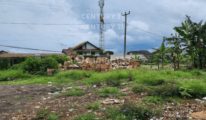 Dijual Tanah Komersil Untuk Usaha Luas 2 Hektar Di Cianjur  2