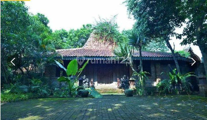 Di Jual Rumah Antik Joglo Luas 1000m Belakang Bukit Golf Emeralda di Cimanggis Depok 1