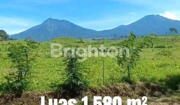 Tanah kebun dengan view pegunungan dan selat Bali, strategis, sangat prospek untuk usaha agrowisata, glamping, villa dan resort di kota Banyuwangi, Jawa Timur 1
