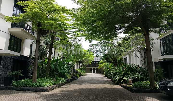 Rumah Dalam Cluster Disewakan Dekat Australian Internasional School, Pejaten Barat, Jaksel