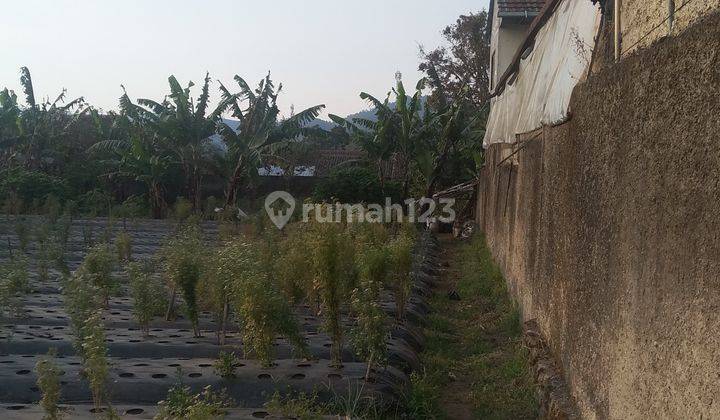 Jual Tanah, cocok u Villa, Rumah makan, dipinggir jalan cibodas, dekat Nurul Fikri Cibodas maribaya Lembang 2