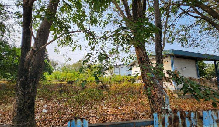 Jual Cepat Gudang 12000m2, Dibawah Njop, Rawa Kepiting Jiep Pulogadung 2