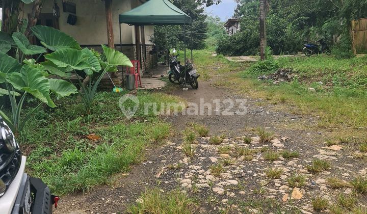 Land suitable for housing.