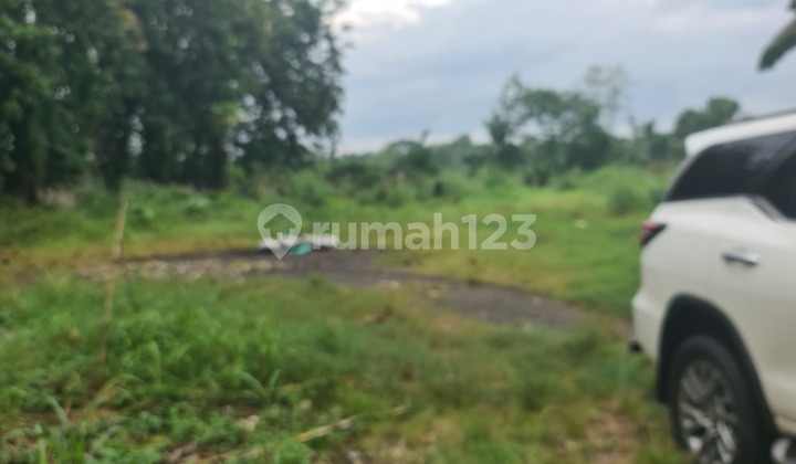 Land suitable for housing.