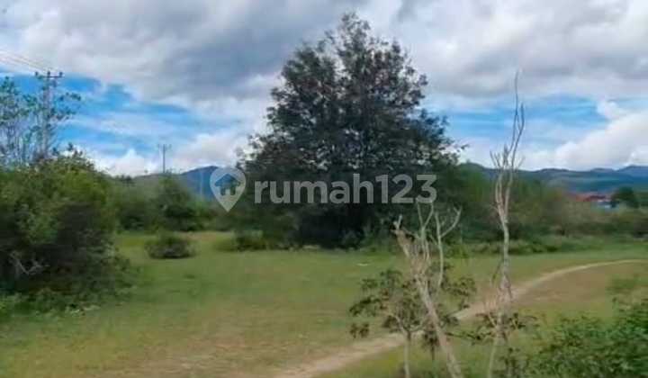 FOR SALE LAND PETOBO SOUTH PALU