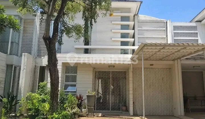 Cheapest 10 Meters Wide Furnished House Palm Beach Ready to Occupy 1