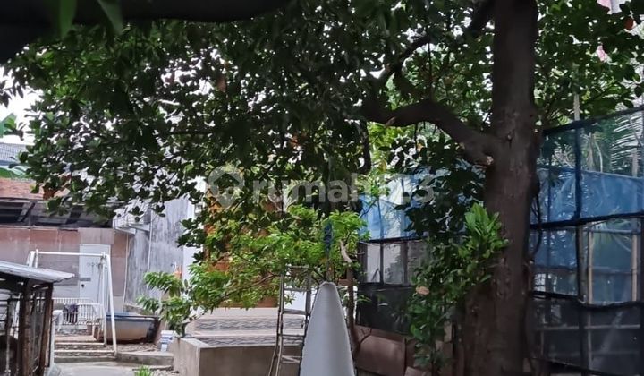 Jual Murah!!! Tanah di Rawa Buaya