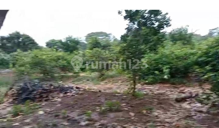 Dijual Tanah Peternakan 25Ha di Subang, Jawa Barat