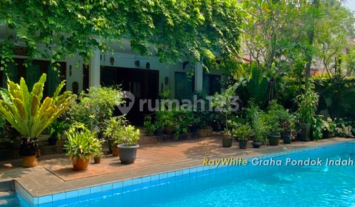 For Sale Nice House In Cilandak With Swimming Pool