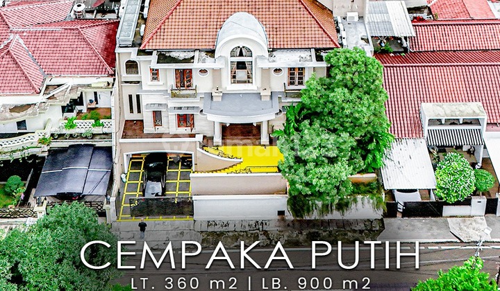 Dijual Cepat Rumah Mewah Harga Nego di Cempaka Putih Jakarta Pusat Siap Masuk Minim Renovasi Akses Dekat di Perkantoran Mall Bebas Banjir 2