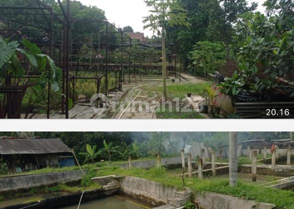 Dijual Lahan Produktif 15.000 m2 di Parung, Sawangan 