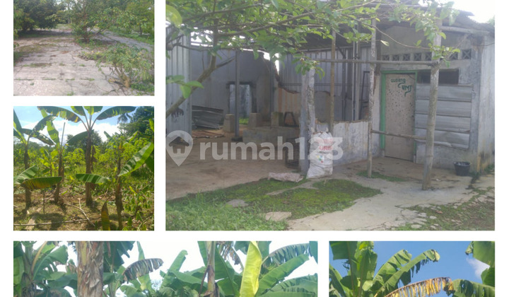 Dijual Tanah 18.846 M2 Di Giri Jaya Nagrak Sukabumi, Jawa Barat (dd)