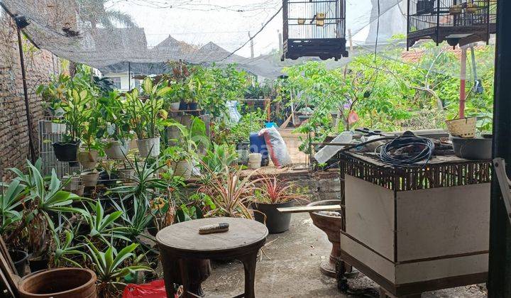 Hot Deal! Di Jual Rumah Di Jl Soekarno Hatta Tahunan Jepara Jawa Tengah Shmlt 500 M²lb 480 M²kt 6km 73 Lantaicarpot 1garasi 1dimensi 50x10 Hadap Utaraselling Point Rumah Di Pinggir Jalan Rayaharga 4 M Nego 2