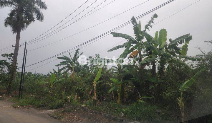 Tanah Hambalang Citeurup Bogor,lokasi strategis dekat ke Sentul City dengan hrg baik,jalannya aspal.Emang boleh..? 1