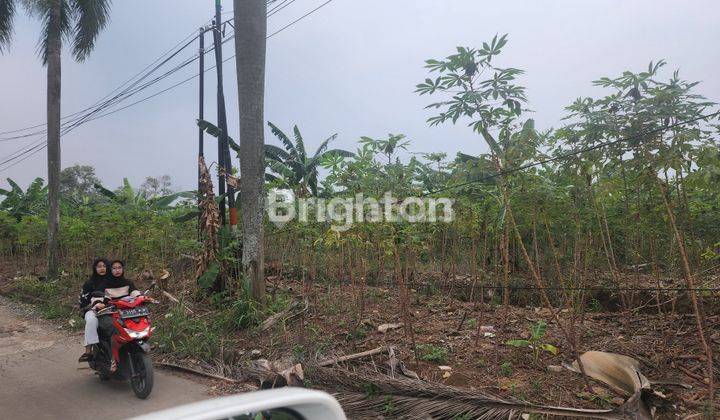 Tanah Hambalang Citeurup Bogor,lokasi strategis dekat ke Sentul City dengan hrg baik,jalannya aspal.Emang boleh..? 2