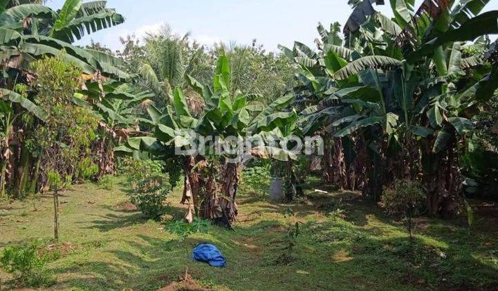 Tanah area 1, siap bangun di pinggir jalan raya Ranca bungur. 2