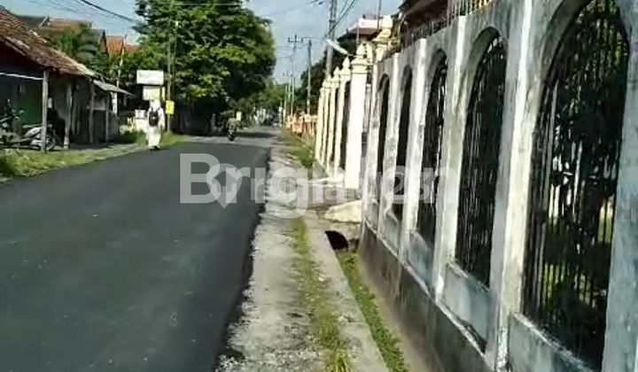 Modern Tropical House, Peaceful and Spacious Yard in Titi Bumi Yogyakarta 2