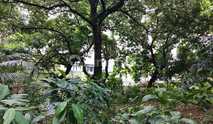 For Rent: Land in Bojong Kulur, 1200.0 M², Cheap