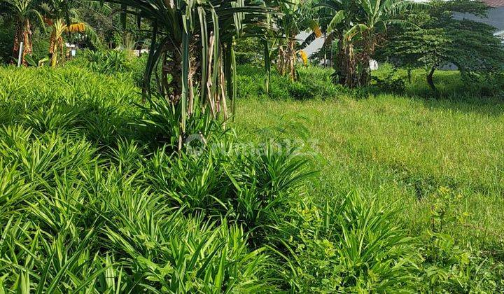 Kavling Siap Bangun Kavling Dki Lokasi Perumahan Aman Nyaman Bagus Kembangan Jakarta Barat  2