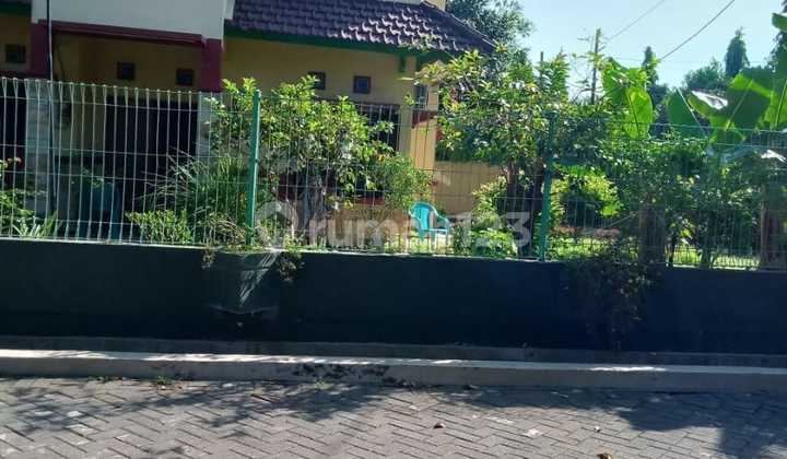 For Sale Rumah Cantik Cocok untuk Kantor di Nginden Surabaya Kota Kha 49 2