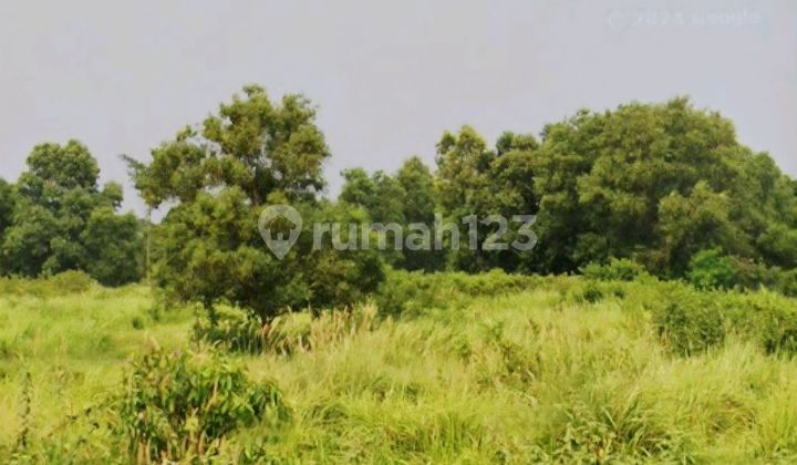 Ruang Usaha Kavling Komersial Bsd City, Murah, 1541 M2, Strategis, Jalan Ramai, Cocok Resto Cafe, Padel. Ruang Usaha Kavling Komersial Bsd City, Murah, 1541 M2, Strategis, Jalan Ramai, Cocok Resto Cafe, Padel.