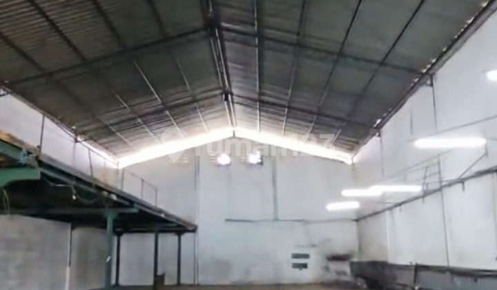 Gudang Nusa Indah, Jurumudi Benda, Murah, 720 M2, Mezzanine, Office Lantai, Bebas Banjir, Container 40 Ft Gudang Nusa Indah, Jurumudi Benda, Murah, 720 M2, Mezzanine, Office Lantai, Bebas Banjir, Container 40 Ft