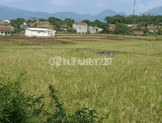 Tanah Sawah 5600meter Cibeunying Majalaya 2