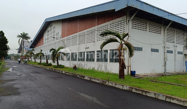 Disewakan Gudang Jatake Bunder Cikupa Tanggarang 100000m2