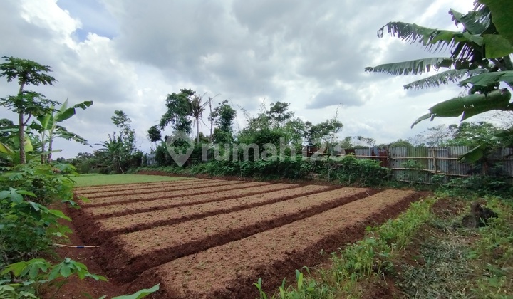 Tanah Cocok untuk Cluster,Villa Ataupun Bisnis
