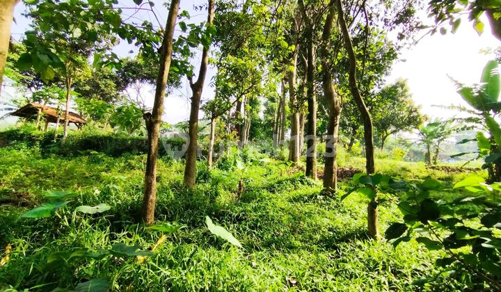 Tanah Dijual Di Cilengkrang 1 Cibiru