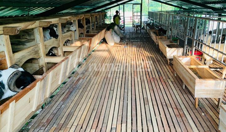 Rumah Villa Di Pasir Angin Cibiru Bandung