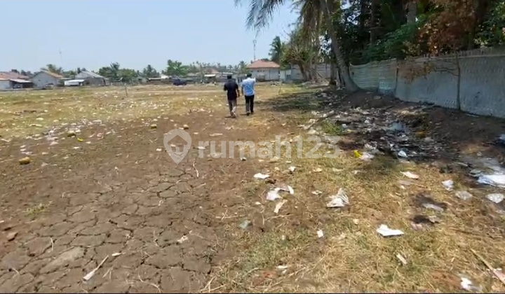 Kawasan Industri Lahan Luas. Jalan Raya Kalibaru, Desa Kramat, Kec.pakuhaji, Kab. Tangerang Kawasan Industri Lahan Luas. Jalan Raya Kalibaru, Desa Kramat, Kec.pakuhaji, Kab. Tangerang