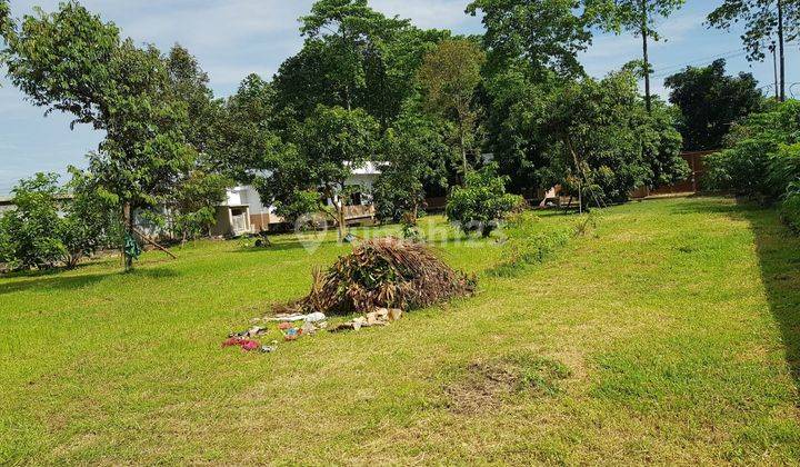 Tanah Lengkap Dengan Tanaman Buah Daerah Sm Raja 2