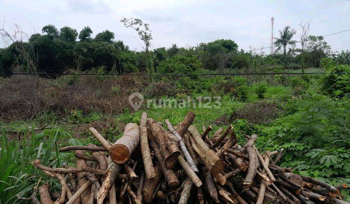 Dijual Kavling Jalan Raya Pa Dijual Kavlingi Jl. Raya Palima Pakupatar, Cilaku, Kec. Curug, Kota Serang, Banten, Serang Timur 1