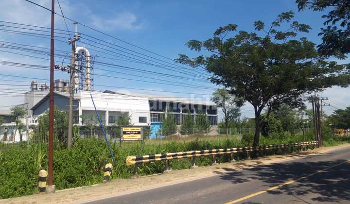 Land for Sale Located on Tuban - Semarang Main Road