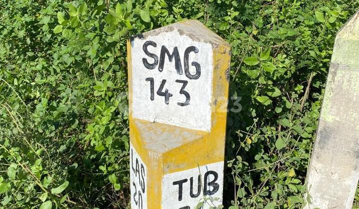 Land for Sale in Kragan Location