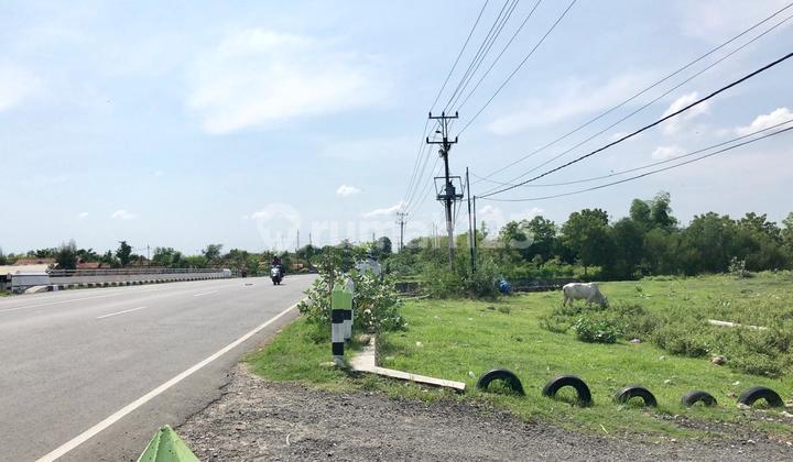 Land for Sale in Kragan Location