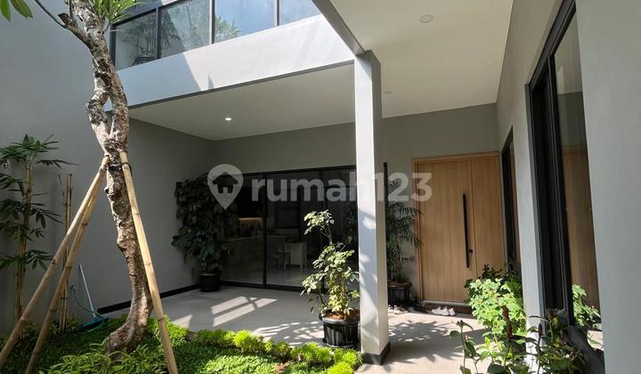 Rumah Luas Dgn Kt Besar2 Byk Bukaan Jendela Byk Pepohonan Di Bsd