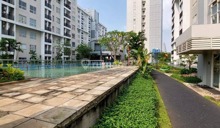 Apartemen Scientia Tipe Garden Unit Langka Scientia Umn Gading Serpong 1